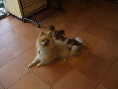 d0080269_16271847.jpg