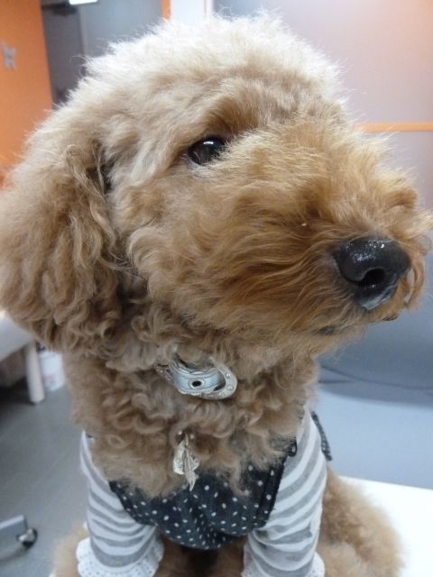 2011.10.6 ご出勤_a0083571_15384298.jpg