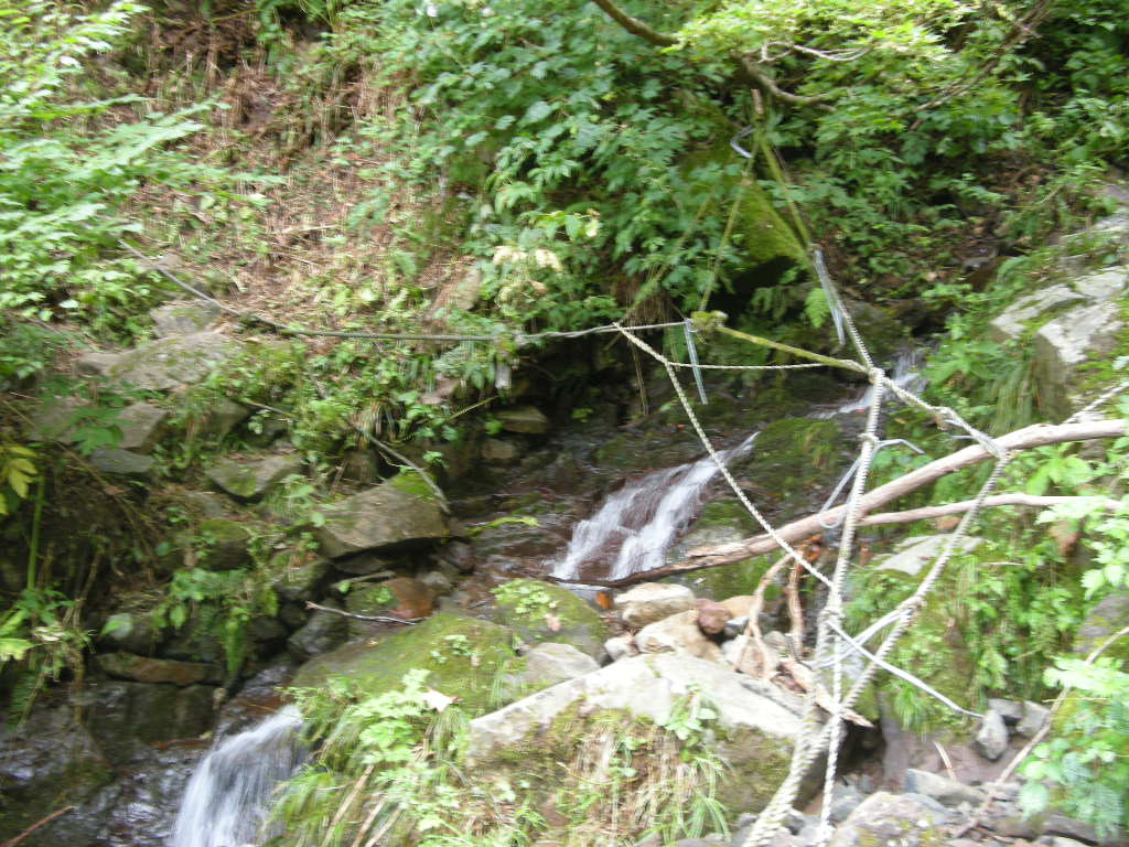 b0185573_2194420.jpg