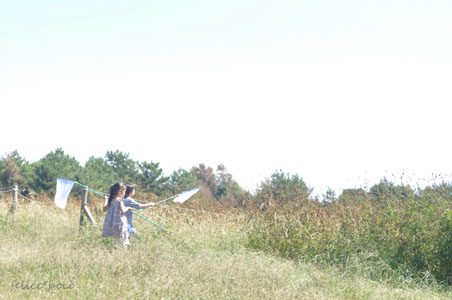 c0145274_2250987.jpg