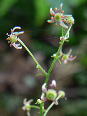 f0083977_14113730.jpg