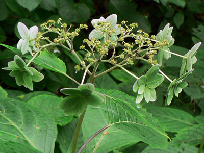 f0083977_14123179.jpg