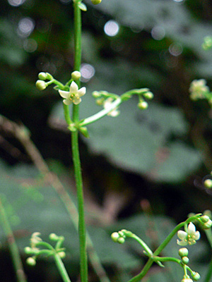 f0083977_14181014.jpg