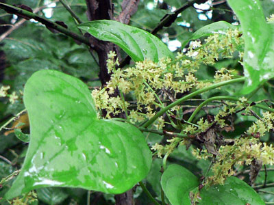 f0083977_14185557.jpg