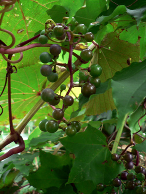 f0083977_14235794.jpg