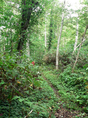 f0083977_1492649.jpg