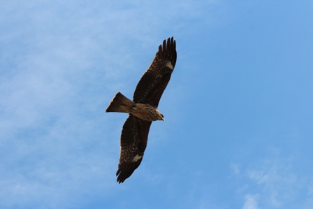 f0164479_031010.jpg