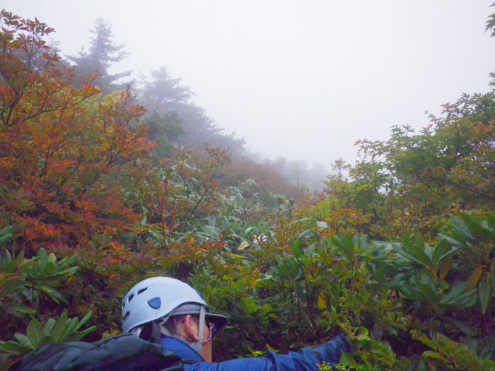 安達太良山・迷沢 ～ ２０１１年１０月２日_f0170180_2381928.jpg