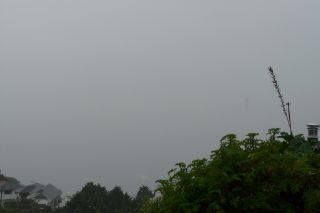 2011年10月6日 どうするんだ~_b0098584_12435827.jpg
