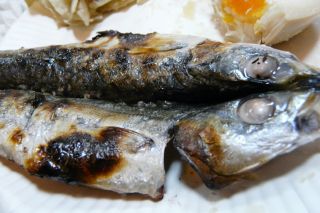 2011年10月6日 どうするんだ~_b0098584_12513159.jpg