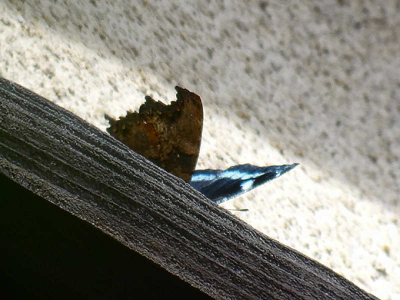f0204094_1758166.jpg