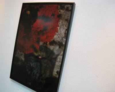 ~10/11 【北室】三浦ひろみ写真展 【南室】絵ゴ バラエティパック_f0106896_17563137.jpg