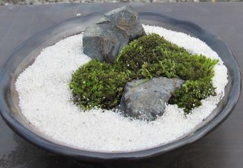 生体・水草・器具色々入荷しました。_a0193105_1522473.jpg
