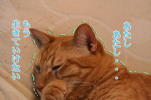 e0072606_18262425.jpg
