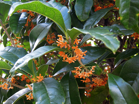 a0041508_0215100.jpg