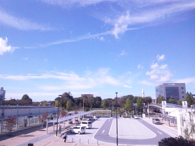 b0027009_835798.jpg