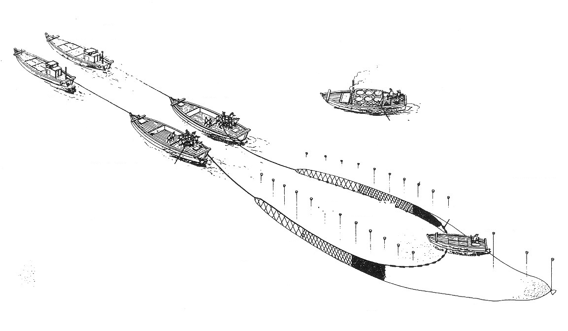e0125014_9585094.png