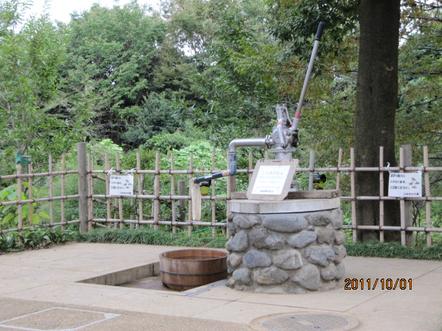 c0200916_072425.jpg