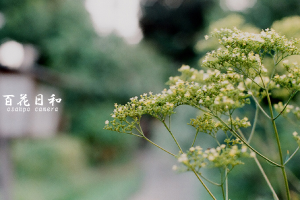 d0155821_0171118.jpg
