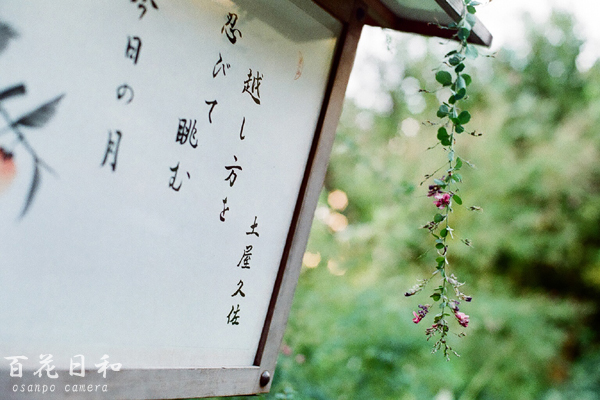 d0155821_0171686.jpg