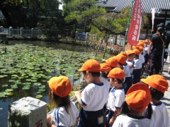 10月6日(年少 お散歩)_d0091723_1149127.jpg