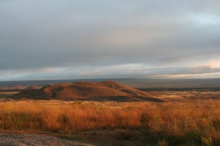 d0170823_1959388.jpg