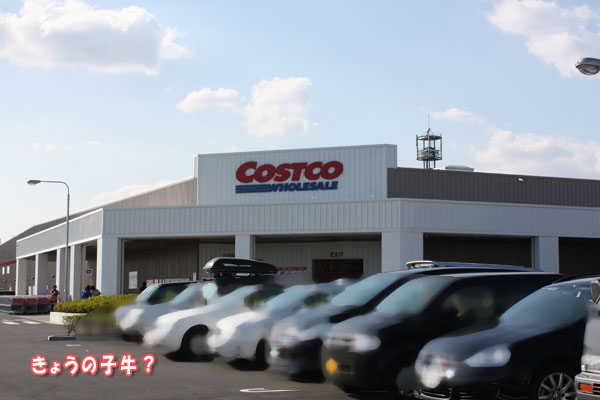 f0203423_17431554.jpg
