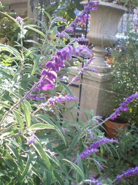 e0128024_10562435.jpg