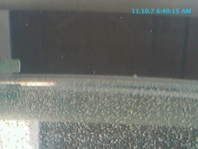 c0010727_6443615.jpg