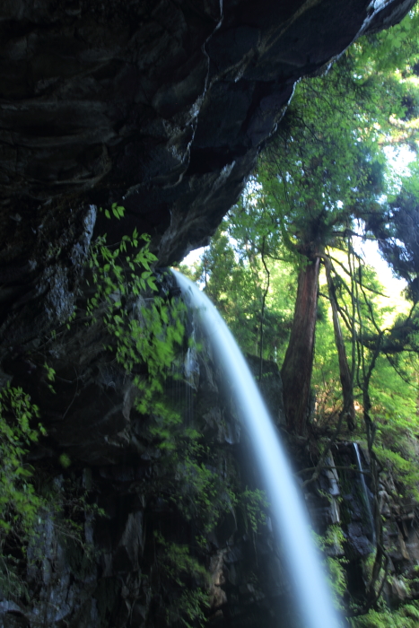 c0215627_2118304.jpg