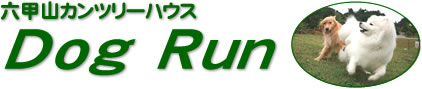 思い出(六甲山ドッグラン)_b0177436_12574412.jpg