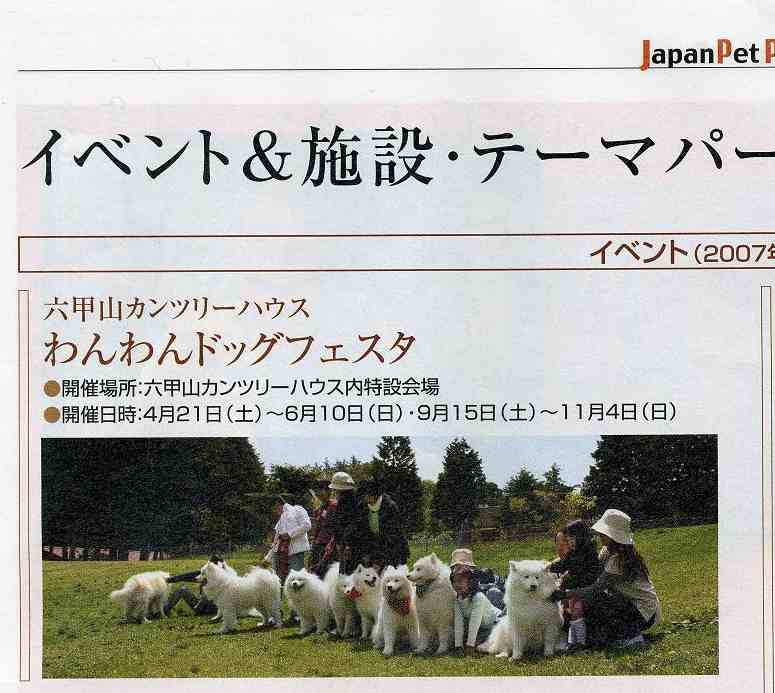 思い出(六甲山ドッグラン)_b0177436_139164.jpg