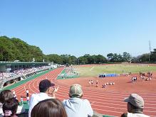 a0063538_10335965.jpg