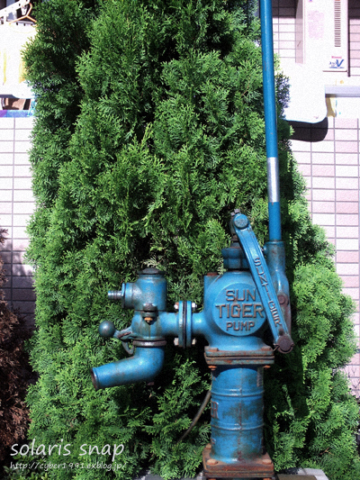 f0009439_2391659.jpg