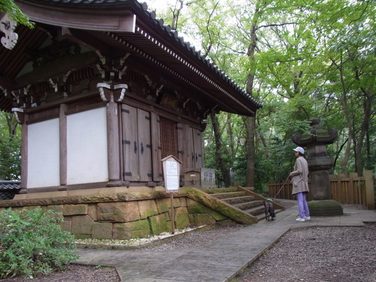 宝登山と古希の間_e0249240_1457749.jpg