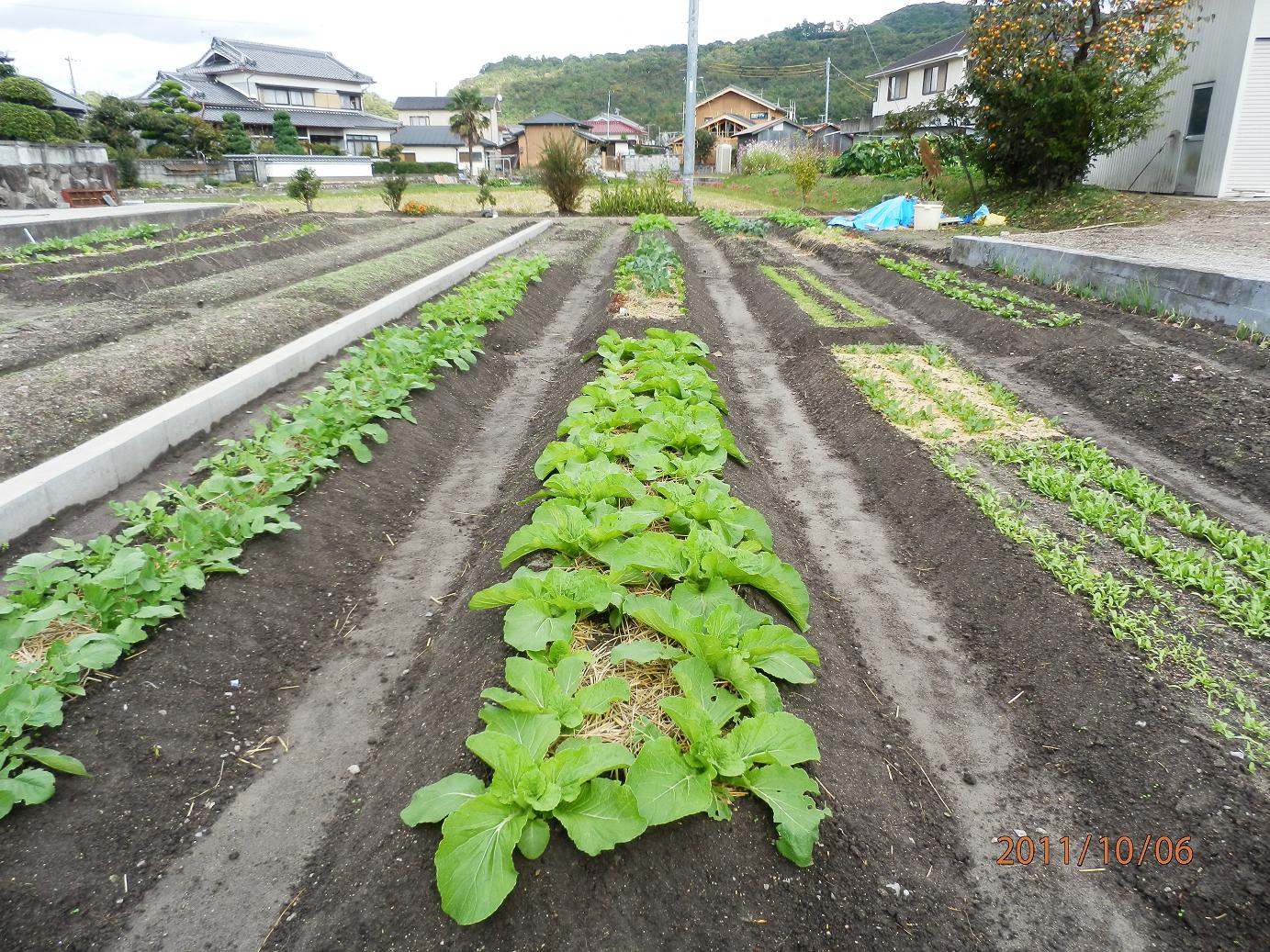 f0096643_0434338.jpg