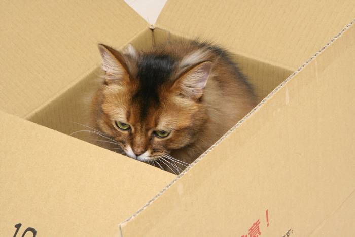 f0184244_11144444.jpg