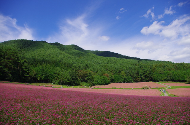 d0186245_1203121.jpg