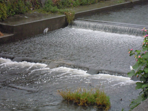 e0034047_1951337.jpg