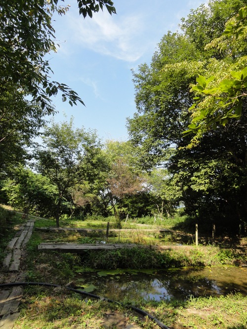 c0108460_1750140.jpg