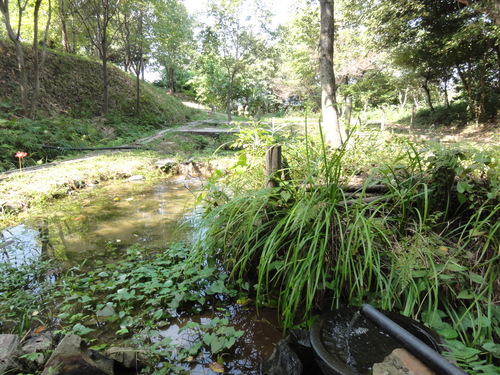 c0108460_17505640.jpg