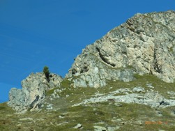 e0195766_67119.jpg