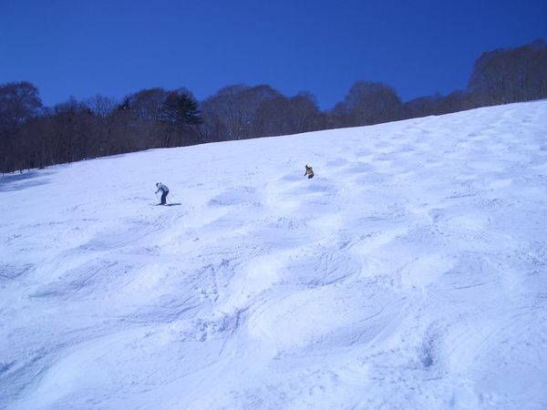 b0063468_1183376.jpg