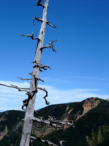 八ヶ岳 「赤岳」 登山、後編_e0045768_2257441.jpg