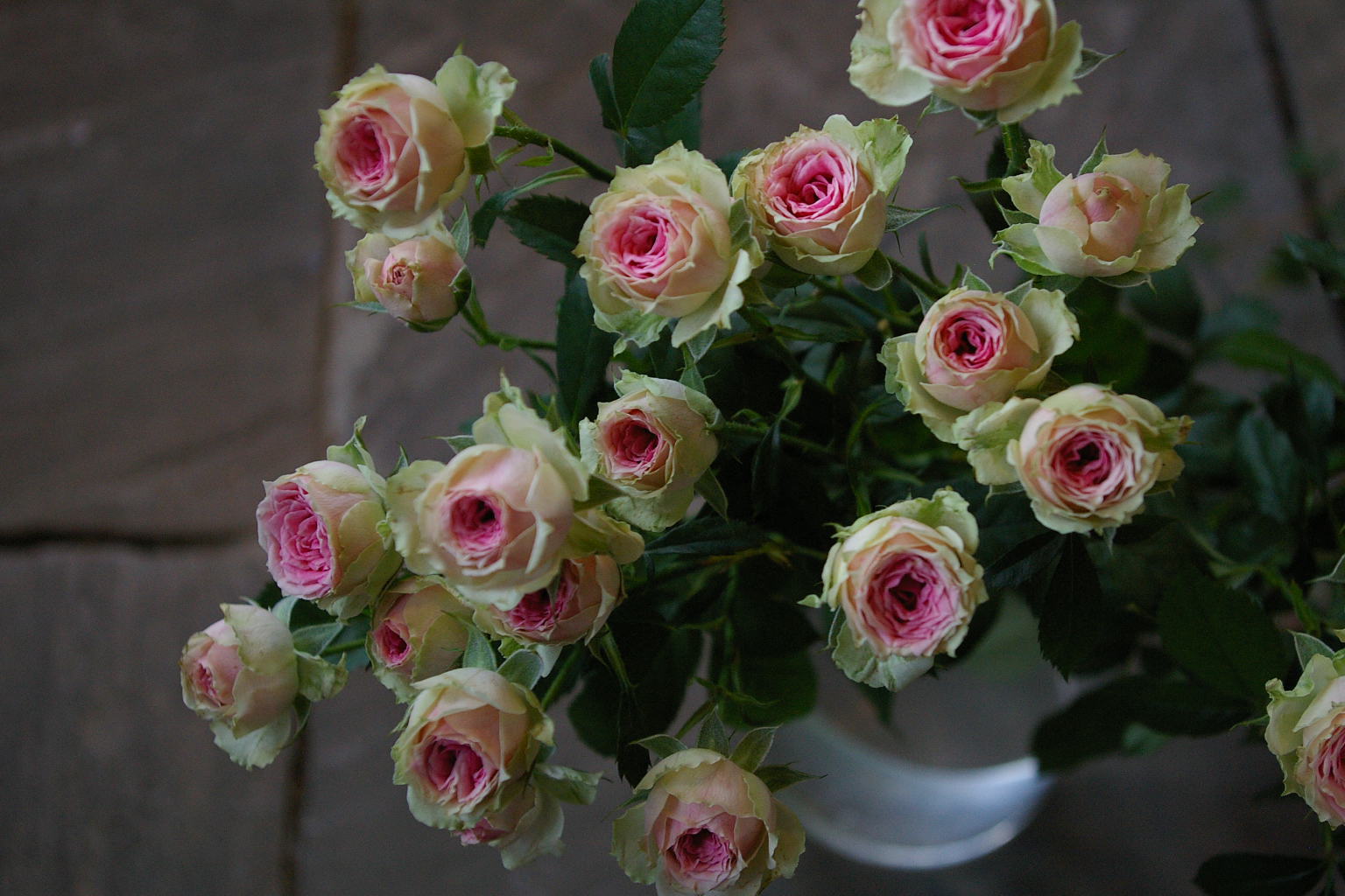 ストロベリー はなのね