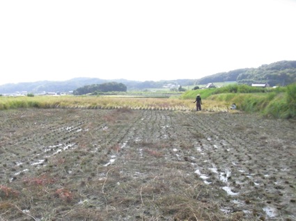 f0224569_2248253.jpg