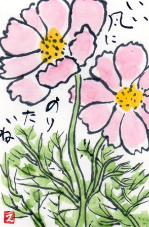 コスモスの花 えっちゃんの絵手紙日記