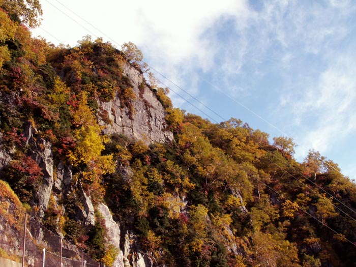 e0164571_14471949.jpg