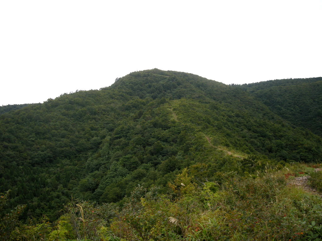 b0185573_5365381.jpg