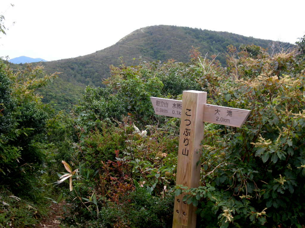 b0185573_5393838.jpg
